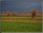 foto Paesaggi Autunnali tra le Colline 